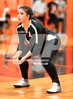 Photo from the gallery "Antelope @ Roseville"