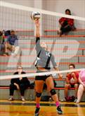 Photo from the gallery "Antelope @ Roseville"
