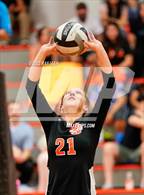Photo from the gallery "Antelope @ Roseville"