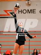 Photo from the gallery "Antelope @ Roseville"