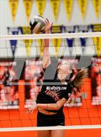 Photo from the gallery "Antelope @ Roseville"