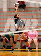 Photo from the gallery "Antelope @ Roseville"