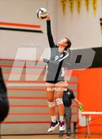 Photo from the gallery "Antelope @ Roseville"