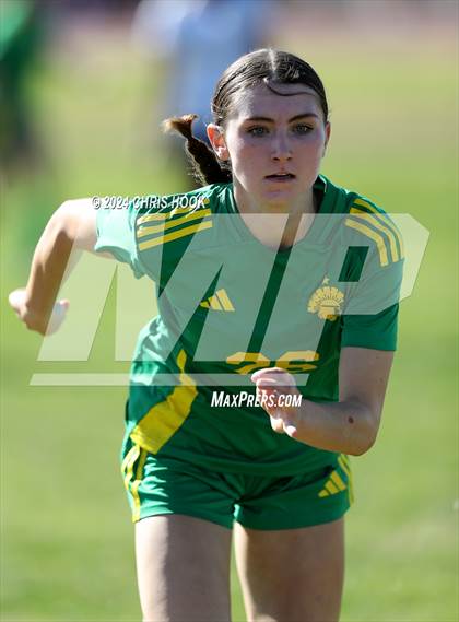 Thumbnail 3 in Canyon del Oro vs Flowing Wells (Brandon Bean Soccer Tournament) photogallery.