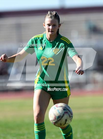 Thumbnail 1 in Canyon del Oro vs Flowing Wells (Brandon Bean Soccer Tournament) photogallery.