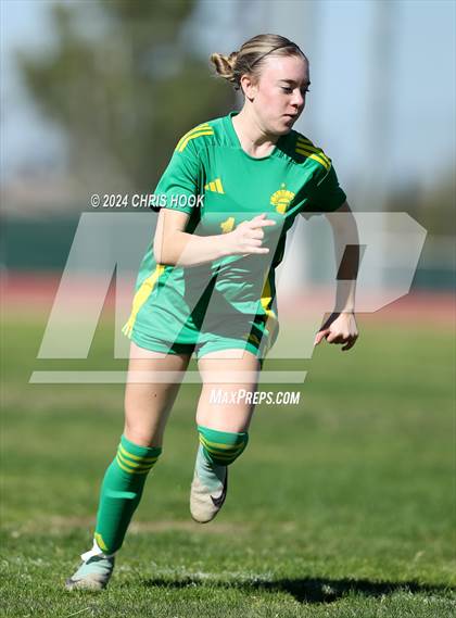 Thumbnail 1 in Canyon del Oro vs Flowing Wells (Brandon Bean Soccer Tournament) photogallery.