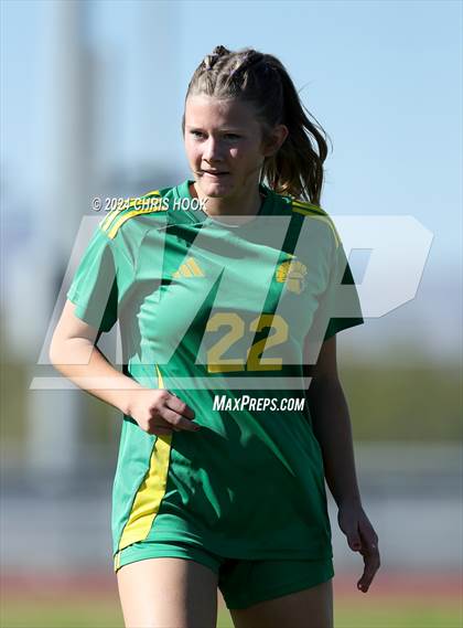 Thumbnail 1 in Canyon del Oro vs Flowing Wells (Brandon Bean Soccer Tournament) photogallery.