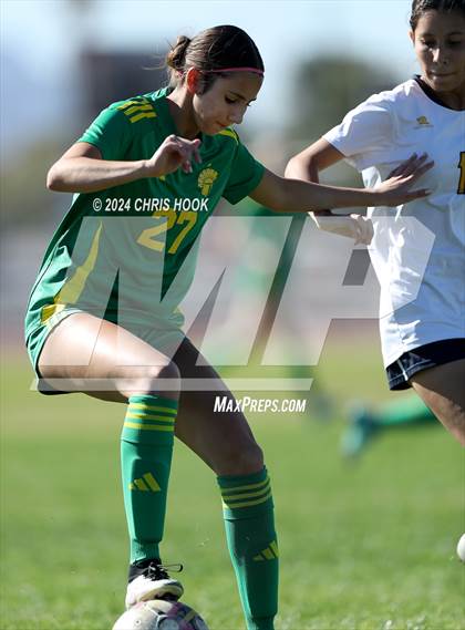 Thumbnail 1 in Canyon del Oro vs Flowing Wells (Brandon Bean Soccer Tournament) photogallery.