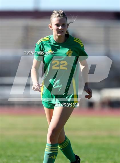 Thumbnail 3 in Canyon del Oro vs Flowing Wells (Brandon Bean Soccer Tournament) photogallery.