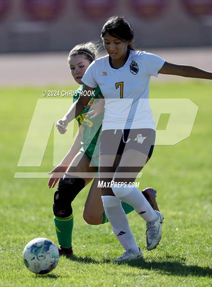 Thumbnail 1 in Canyon del Oro vs Flowing Wells (Brandon Bean Soccer Tournament) photogallery.