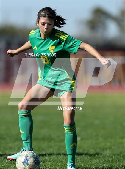 Thumbnail 1 in Canyon del Oro vs Flowing Wells (Brandon Bean Soccer Tournament) photogallery.