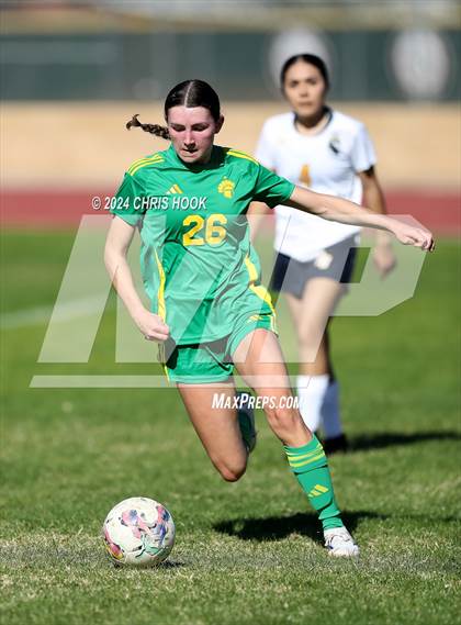 Thumbnail 2 in Canyon del Oro vs Flowing Wells (Brandon Bean Soccer Tournament) photogallery.