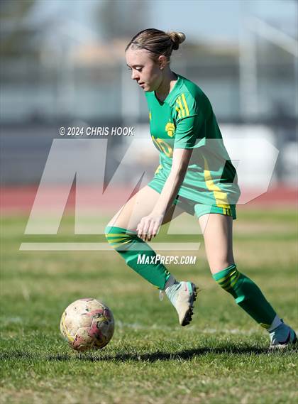 Thumbnail 2 in Canyon del Oro vs Flowing Wells (Brandon Bean Soccer Tournament) photogallery.