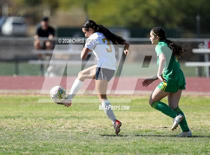Thumbnail 3 in Canyon del Oro vs Flowing Wells (Brandon Bean Soccer Tournament) photogallery.