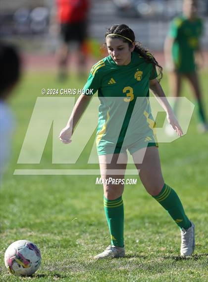Thumbnail 3 in Canyon del Oro vs Flowing Wells (Brandon Bean Soccer Tournament) photogallery.