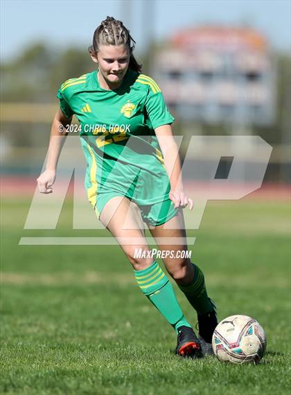 Thumbnail 1 in Canyon del Oro vs Flowing Wells (Brandon Bean Soccer Tournament) photogallery.