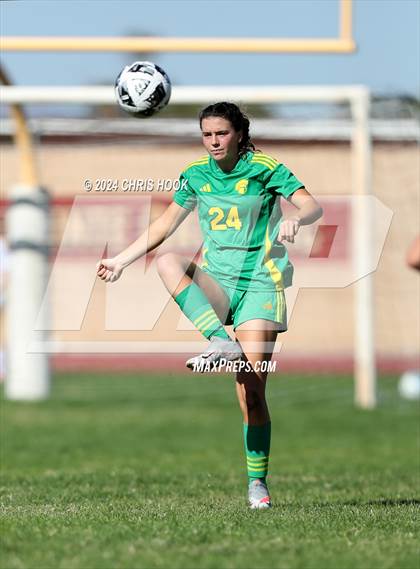 Thumbnail 1 in Canyon del Oro vs Flowing Wells (Brandon Bean Soccer Tournament) photogallery.