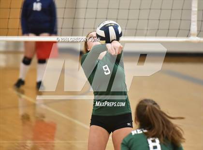 Thumbnail 1 in Newman @ Ursuline Academy photogallery.