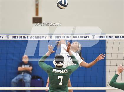 Thumbnail 2 in Newman @ Ursuline Academy photogallery.