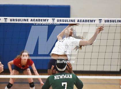 Thumbnail 1 in Newman @ Ursuline Academy photogallery.