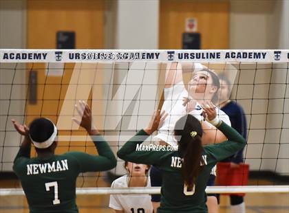 Thumbnail 1 in Newman @ Ursuline Academy photogallery.