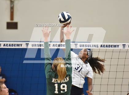 Thumbnail 2 in Newman @ Ursuline Academy photogallery.