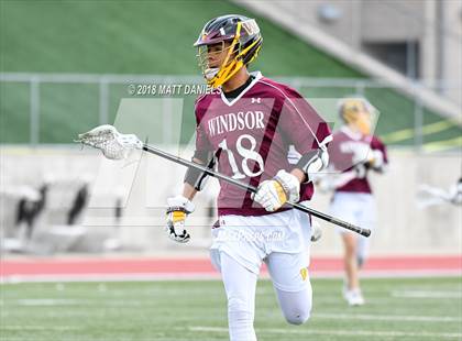 Thumbnail 1 in Windsor @ Ponderosa photogallery.