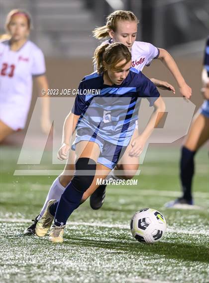 Thumbnail 3 in Johnson vs Lee photogallery.