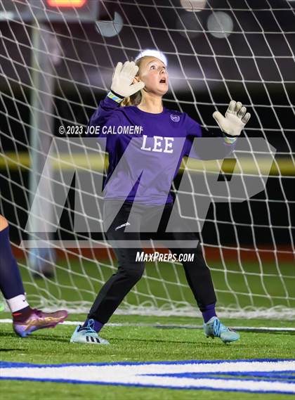Thumbnail 1 in Johnson vs Lee photogallery.