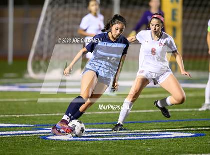 Thumbnail 1 in Johnson vs Lee photogallery.