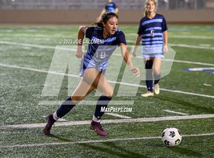 Thumbnail 2 in Johnson vs Lee photogallery.