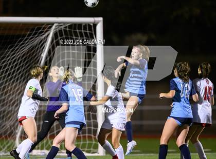 Thumbnail 1 in Johnson vs Lee photogallery.