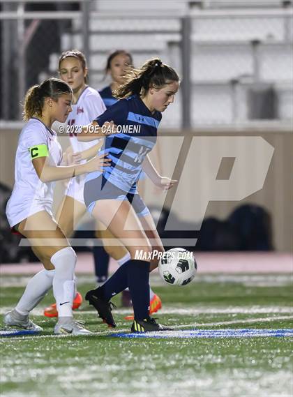 Thumbnail 3 in Johnson vs Lee photogallery.