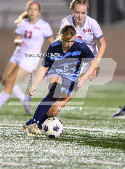 Thumbnail 2 in Johnson vs Lee photogallery.