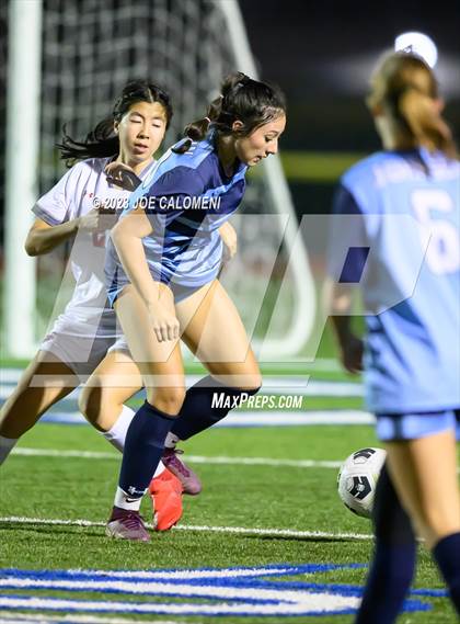 Thumbnail 1 in Johnson vs Lee photogallery.