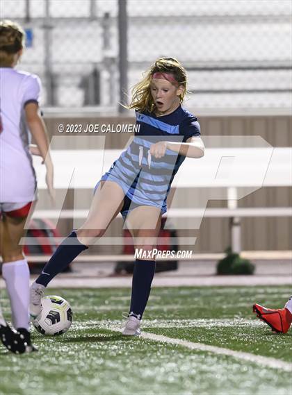 Thumbnail 3 in Johnson vs Lee photogallery.