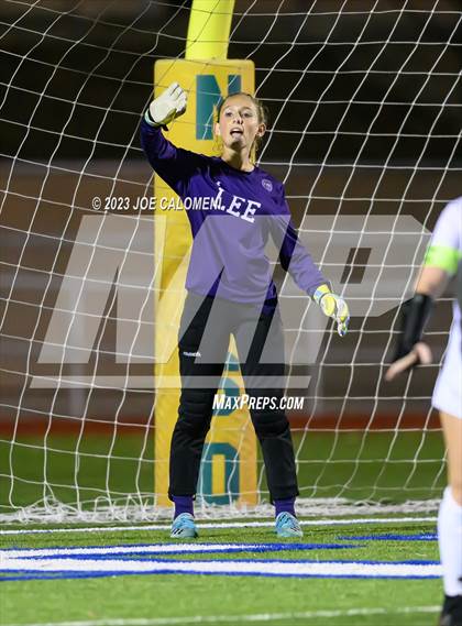 Thumbnail 2 in Johnson vs Lee photogallery.
