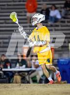 Photo from the gallery "Gray's Creek @ Pine Forest"