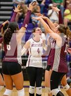 Photo from the gallery "Berthoud @ Mountain View"