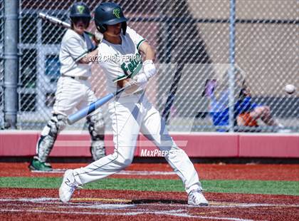 Thumbnail 3 in Falcon vs. Mesa Ridge (Trojan Baseball Invitational) photogallery.