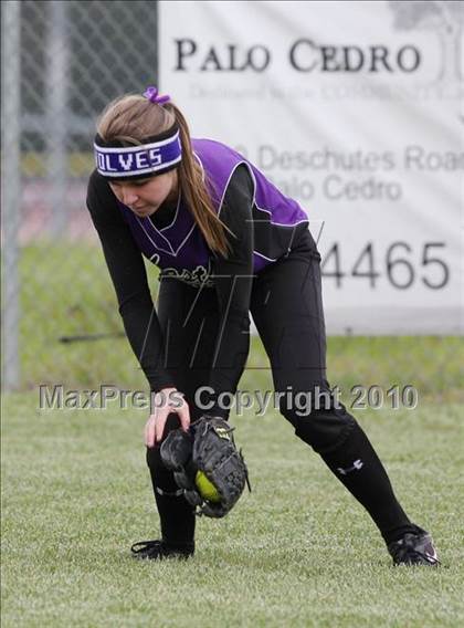 Thumbnail 3 in Shasta @ Foothill photogallery.
