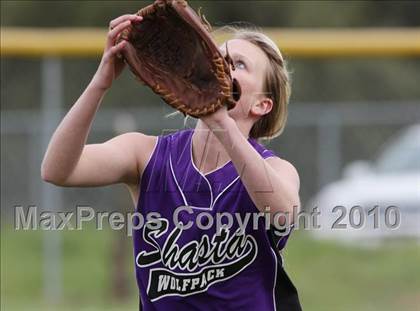 Thumbnail 2 in Shasta @ Foothill photogallery.