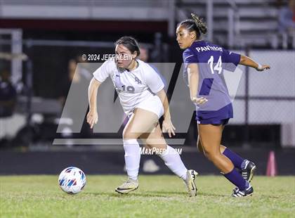 Thumbnail 1 in Boca Raton @ Dwyer photogallery.