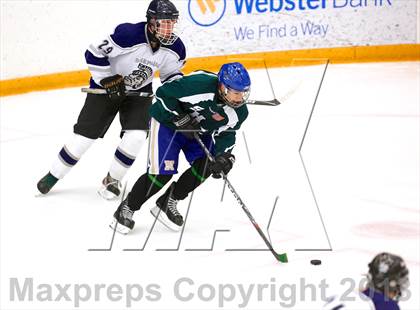 Thumbnail 3 in Shepaug/Litchfield/Nonnewaug @ Newtown photogallery.