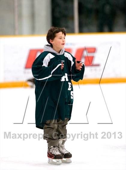 Thumbnail 2 in Shepaug/Litchfield/Nonnewaug @ Newtown photogallery.