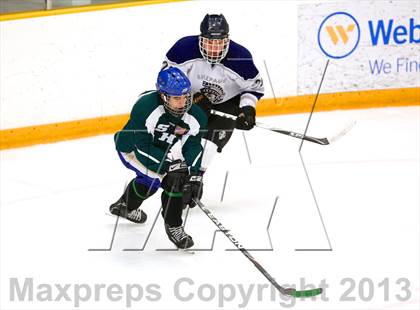 Thumbnail 2 in Shepaug/Litchfield/Nonnewaug @ Newtown photogallery.