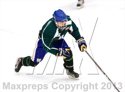 Thumbnail 2 in Shepaug/Litchfield/Nonnewaug @ Newtown photogallery.