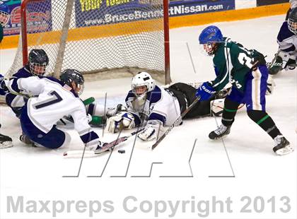 Thumbnail 2 in Shepaug/Litchfield/Nonnewaug @ Newtown photogallery.