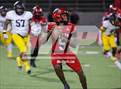 Photo from the gallery "Pine Tree @ Carter"