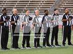 Photo from the gallery "Pine Tree @ Carter"